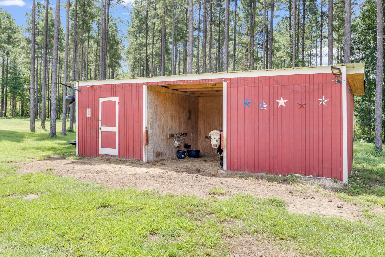 2480 Holmestead Road Bonifay, FL 32425 - Photo 55 of 67 64-65