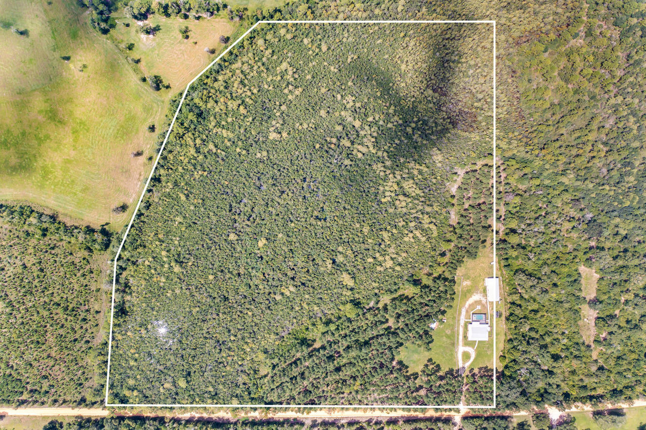2480 Holmestead Road Bonifay, FL 32425 - Photo 6 of 67 73-74