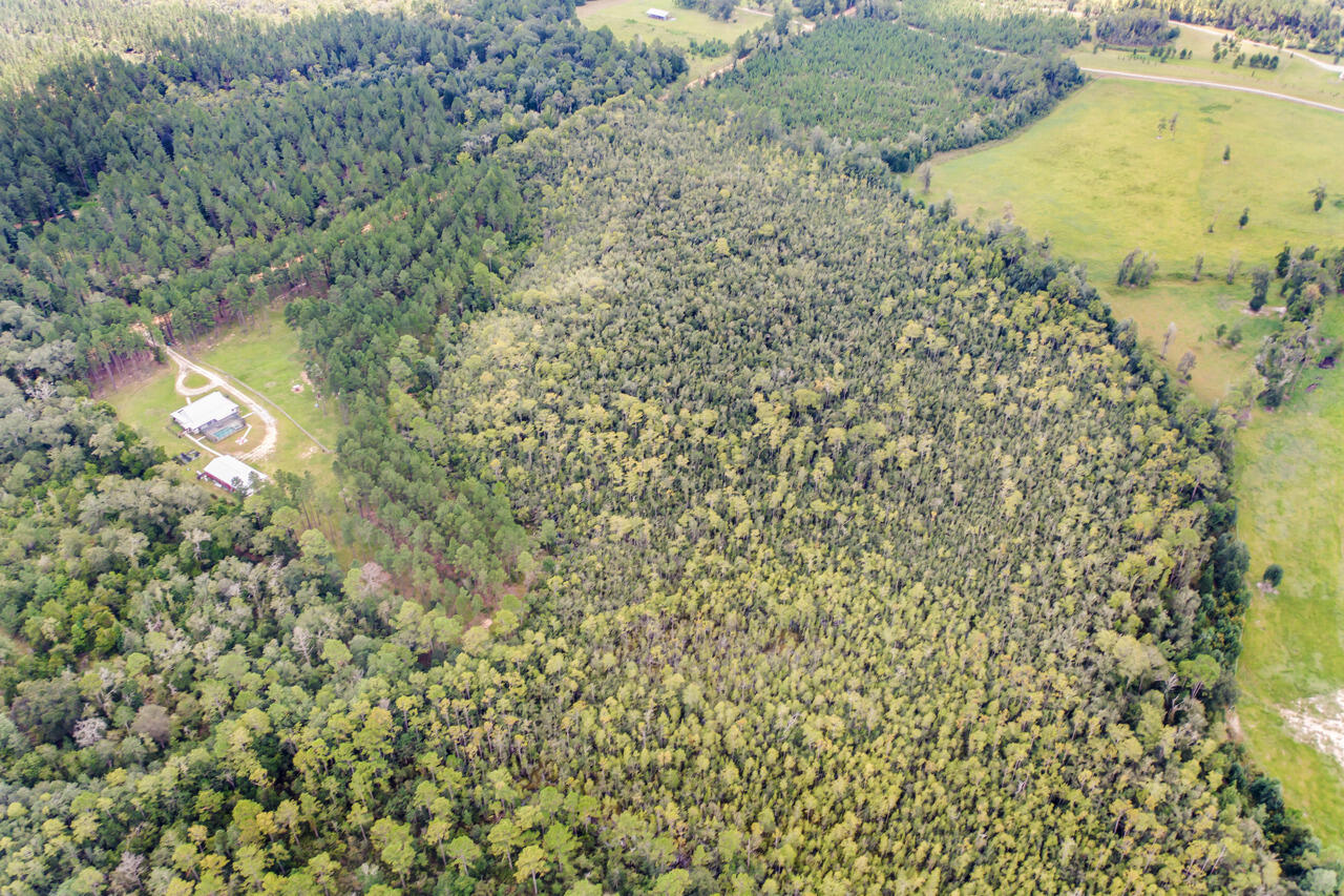 2480 Holmestead Road Bonifay, FL 32425 - Photo 64 of 67 75-76