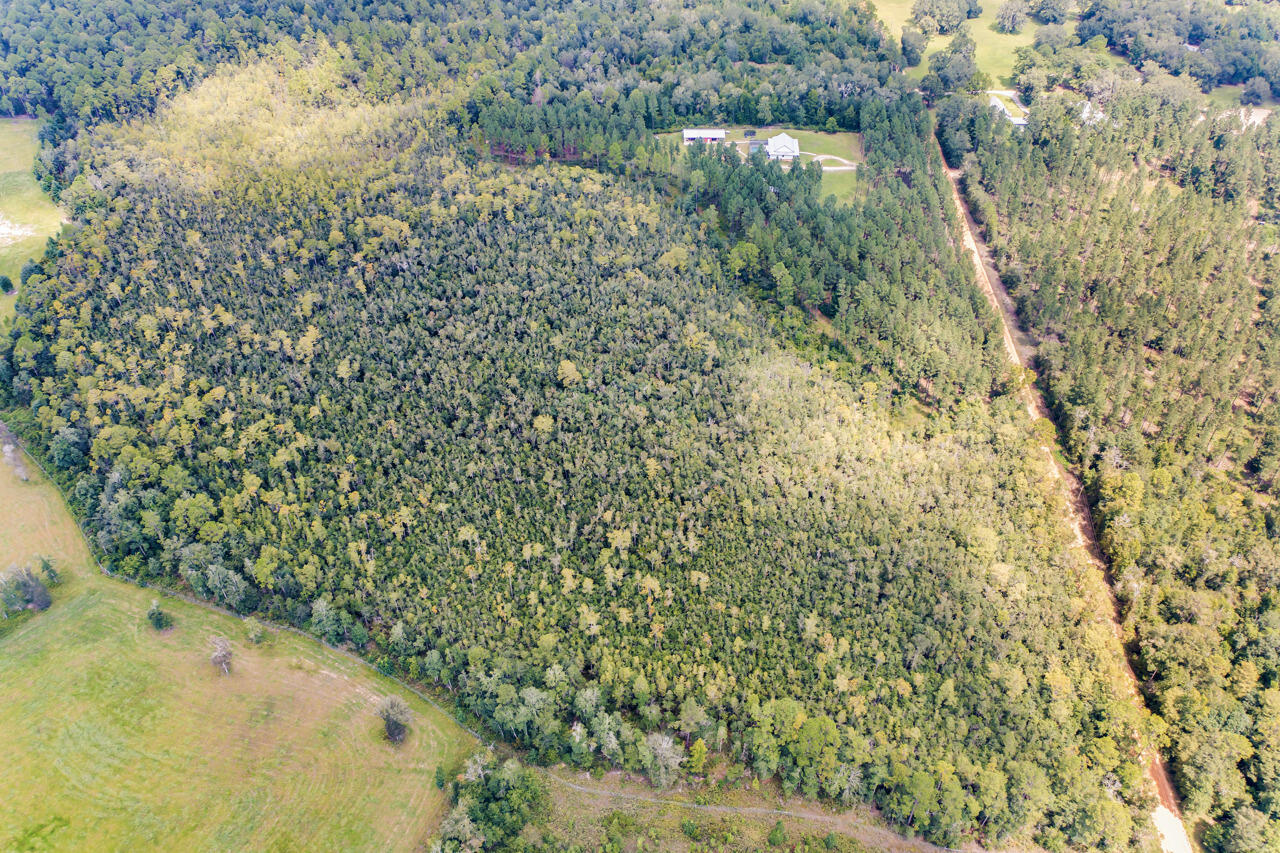 2480 Holmestead Road Bonifay, FL 32425 - Photo 65 of 67 76-77