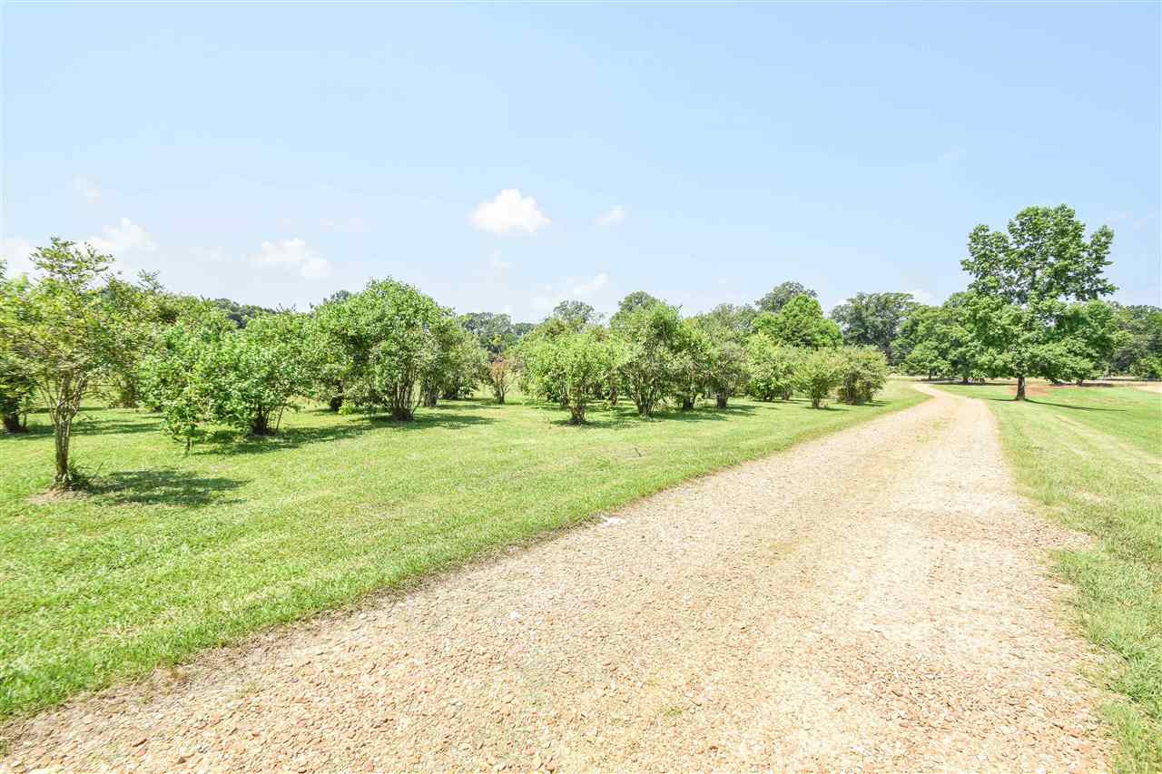 5500 Springridge Road Raymond, MS 39154 - Photo 47 of 47 Photo 47