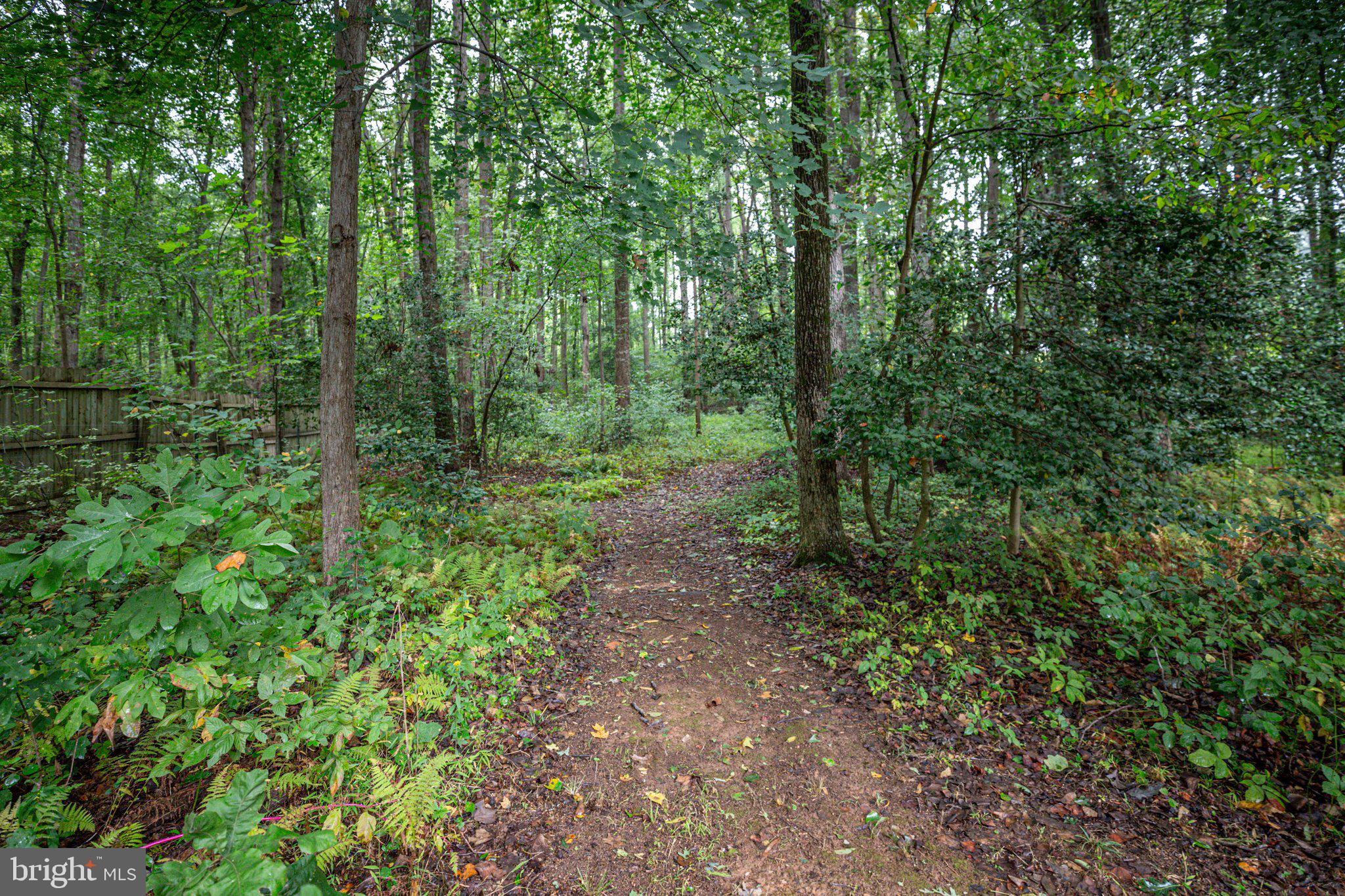 4530 Hurst Road Bealeton, VA 22712 - Photo 47 of 49