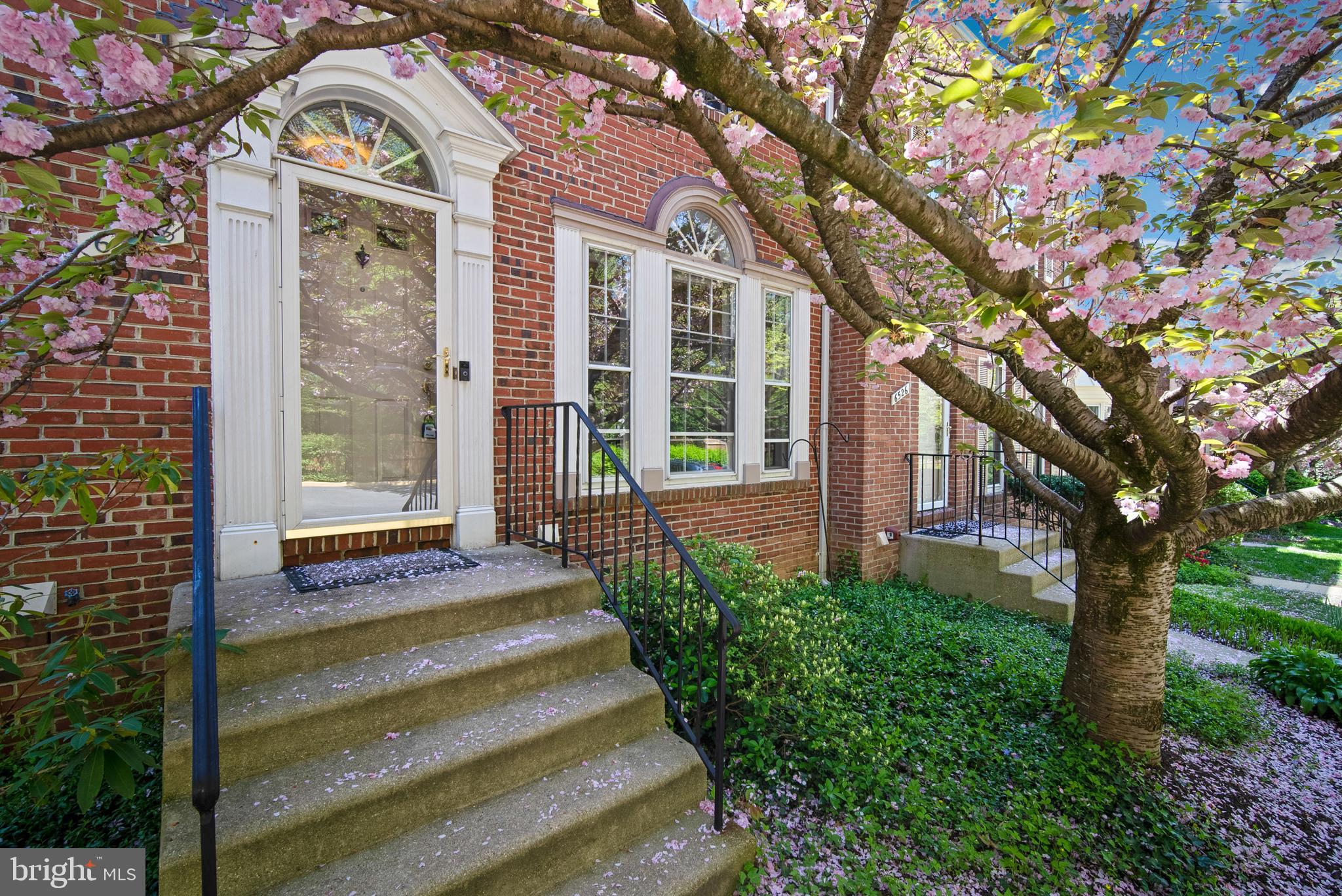 6528 Milva Lane Springfield, VA 22150 - Photo 2 of 35 Gallery Image 2