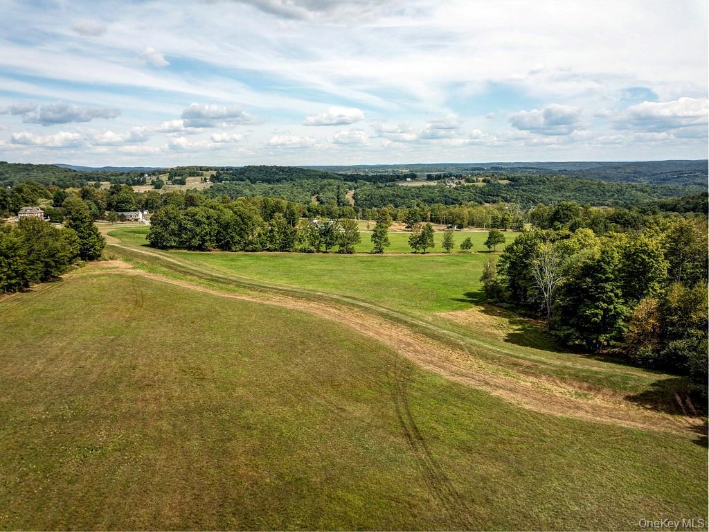 Bauernfeind Road Callicoon, NY 12723 - Photo 2 of 2 a view of a big yard with lawn chairs and large trees