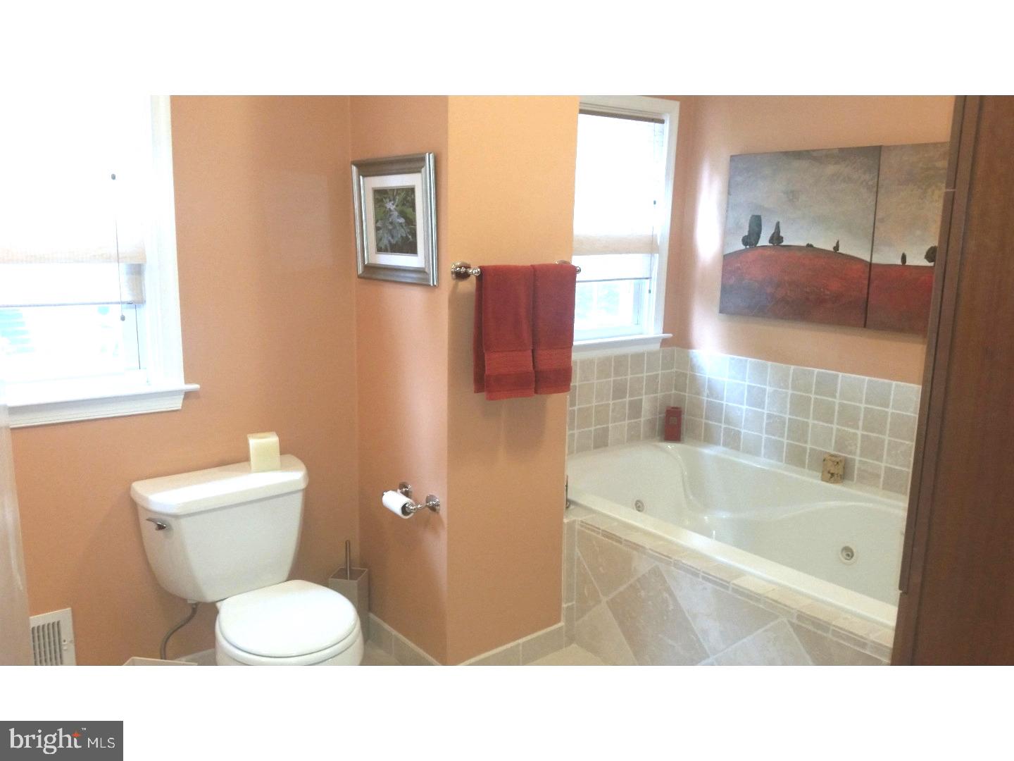 674 Pinetree Road Jenkintown, PA 19046 - Photo 13 of 25 Bathroom
