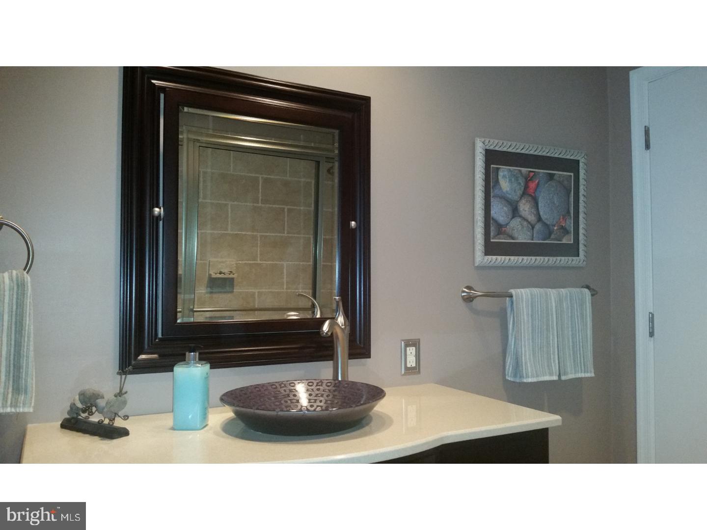 674 Pinetree Road Jenkintown, PA 19046 - Photo 10 of 25 Bathroom