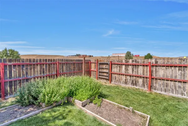 a view of a backyard with plants