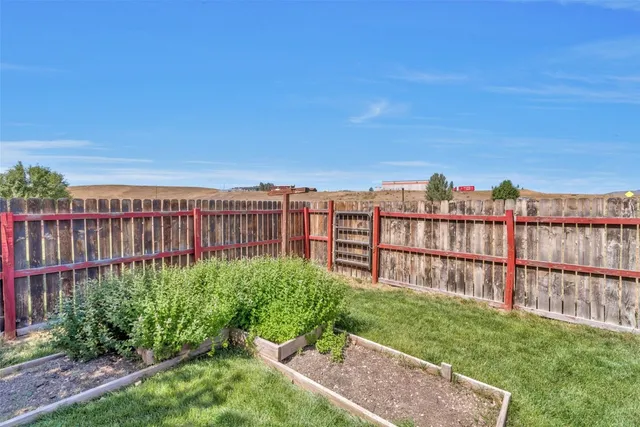 a view of a backyard with plants