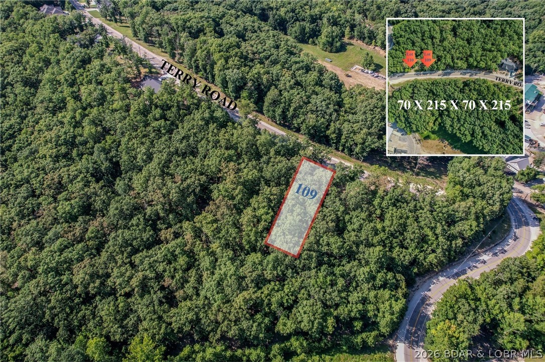 Lot 109 Terry Rd Lake Lake Ozark, MO 65049 - Photo 4 of 17