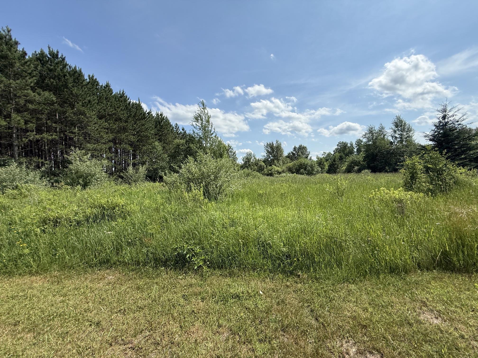 1225 West Sun Oil Road Gladwin, MI 48624 - Photo 38 of 46