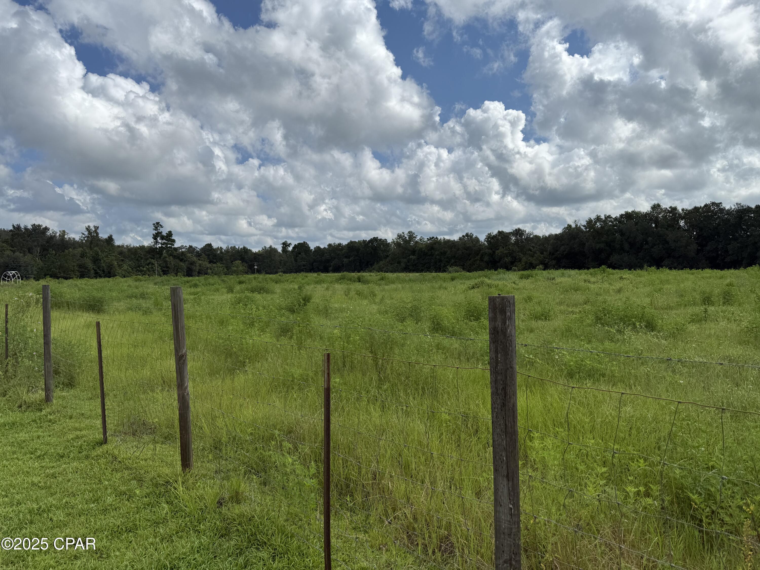 3560 Peanut Road Cottondale, FL 32431 - Photo 13 of 45 Gallery Image 13