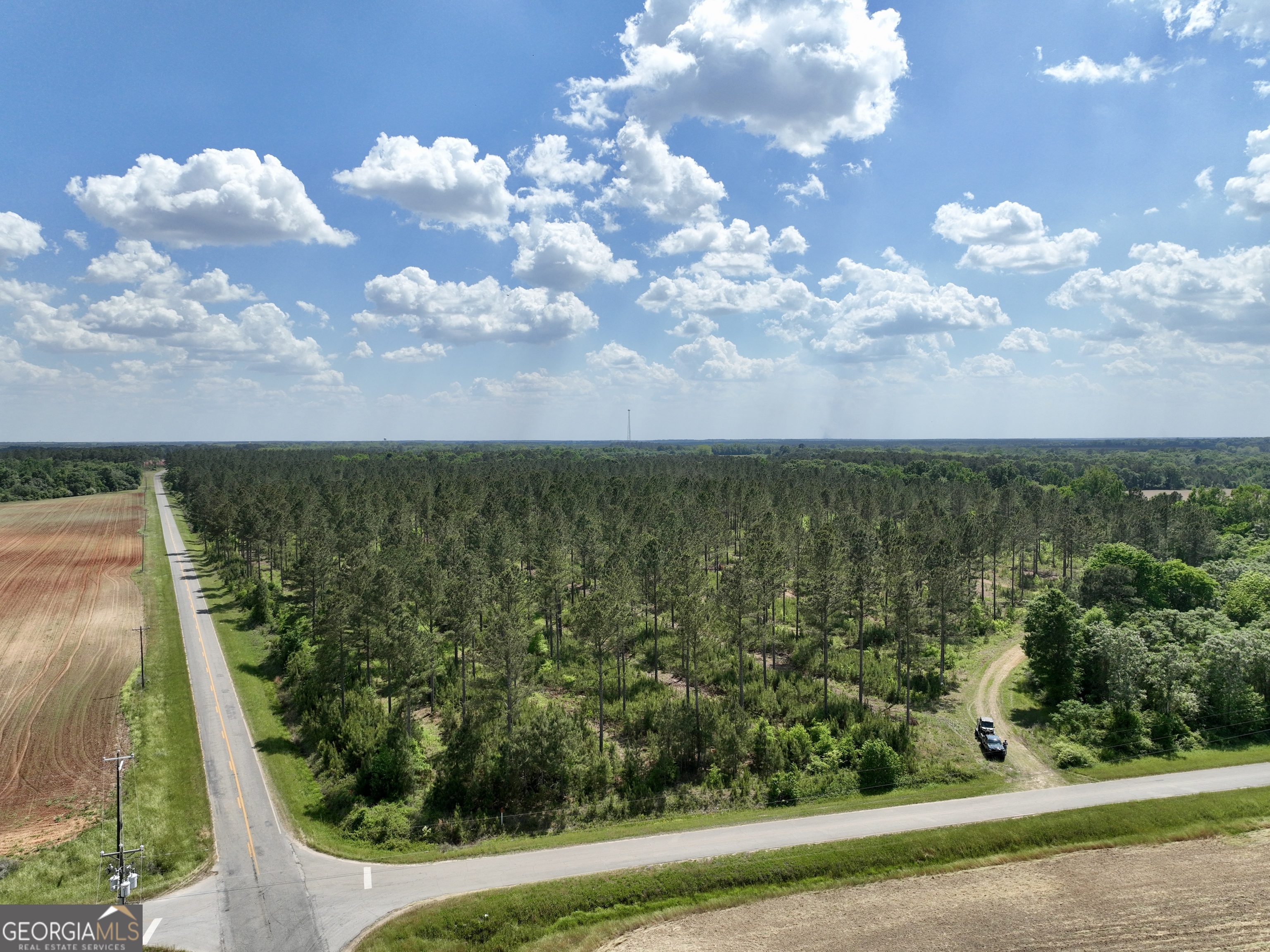 0 Poplar Springs Road Byromville, GA 31007 - Photo 24 of 36 Gallery Image 24