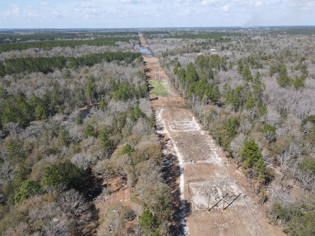 382 Public Work Road Samson, AL 36477 - Photo 6 of 9