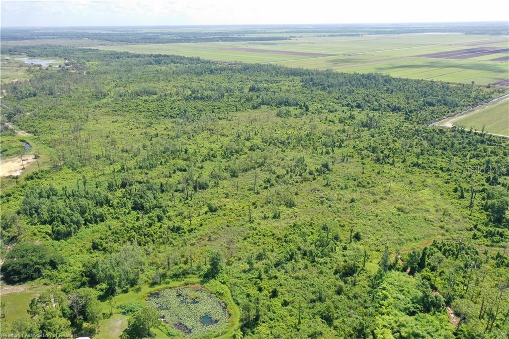 725 Moon Ranch Road Sebring, FL 33870 - Photo 12 of 15