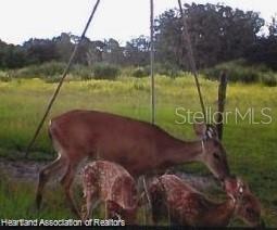 725 Moon Ranch Road Sebring, FL 33870 - Photo 7 of 15