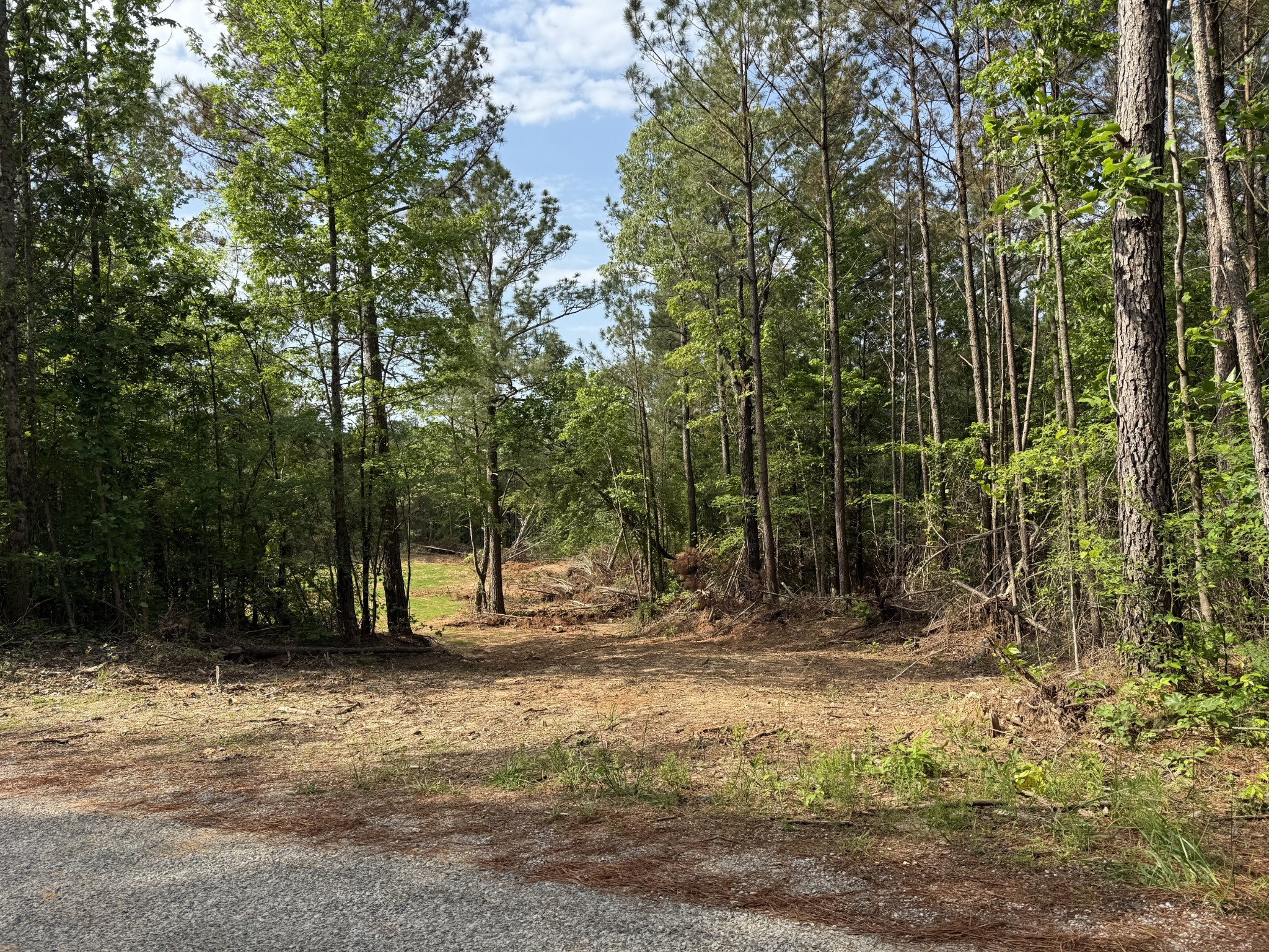 1135 Allen Mill Bridge Road Camden, TN 38320 - Photo 1 of 3 Gallery Image 1