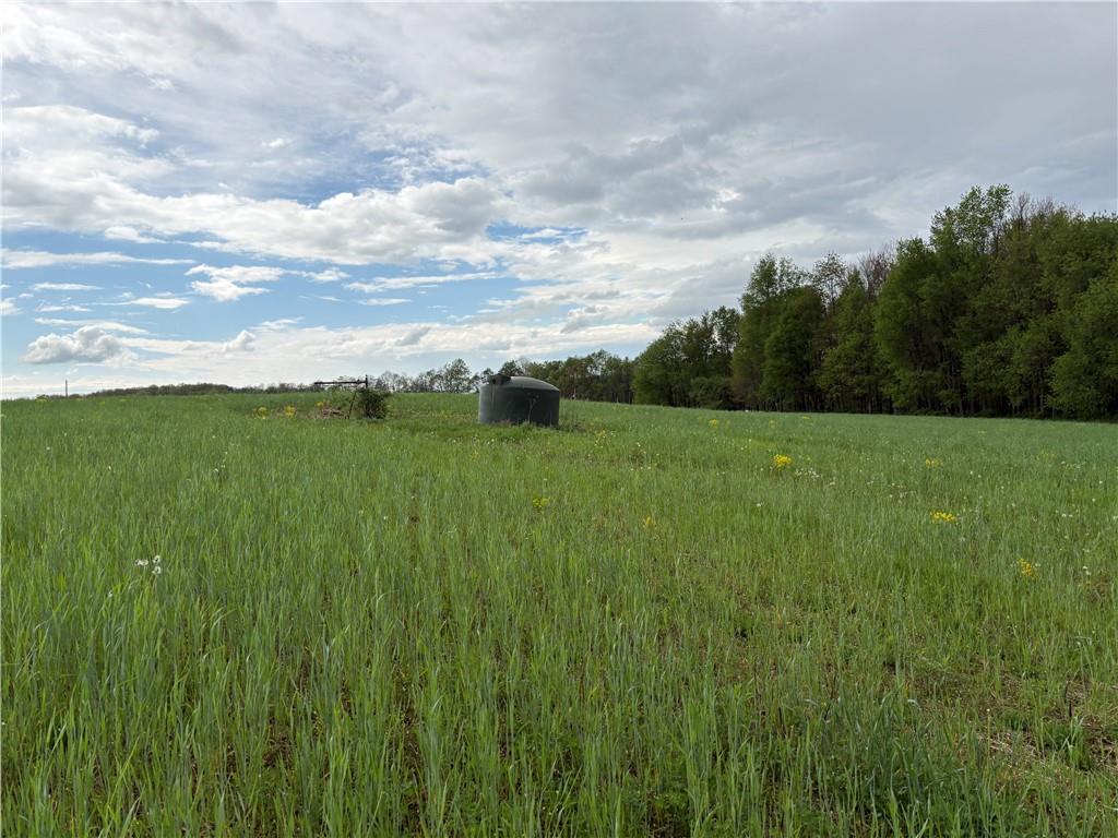 609 Trout Run Road Punxsutawney, PA 15767 - Photo 14 of 16