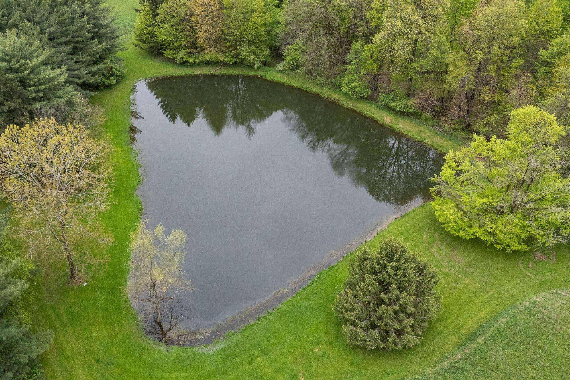 1366 Orweiler Road Mansfield, OH 44903 - Photo 62 of 66 62-aer-pond