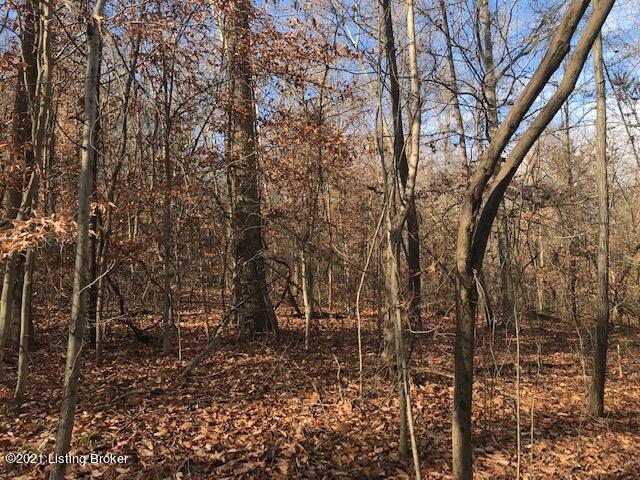 0 Tar Springs Road Cloverport, KY 40111 - Photo 10 of 35 jason.jpg10