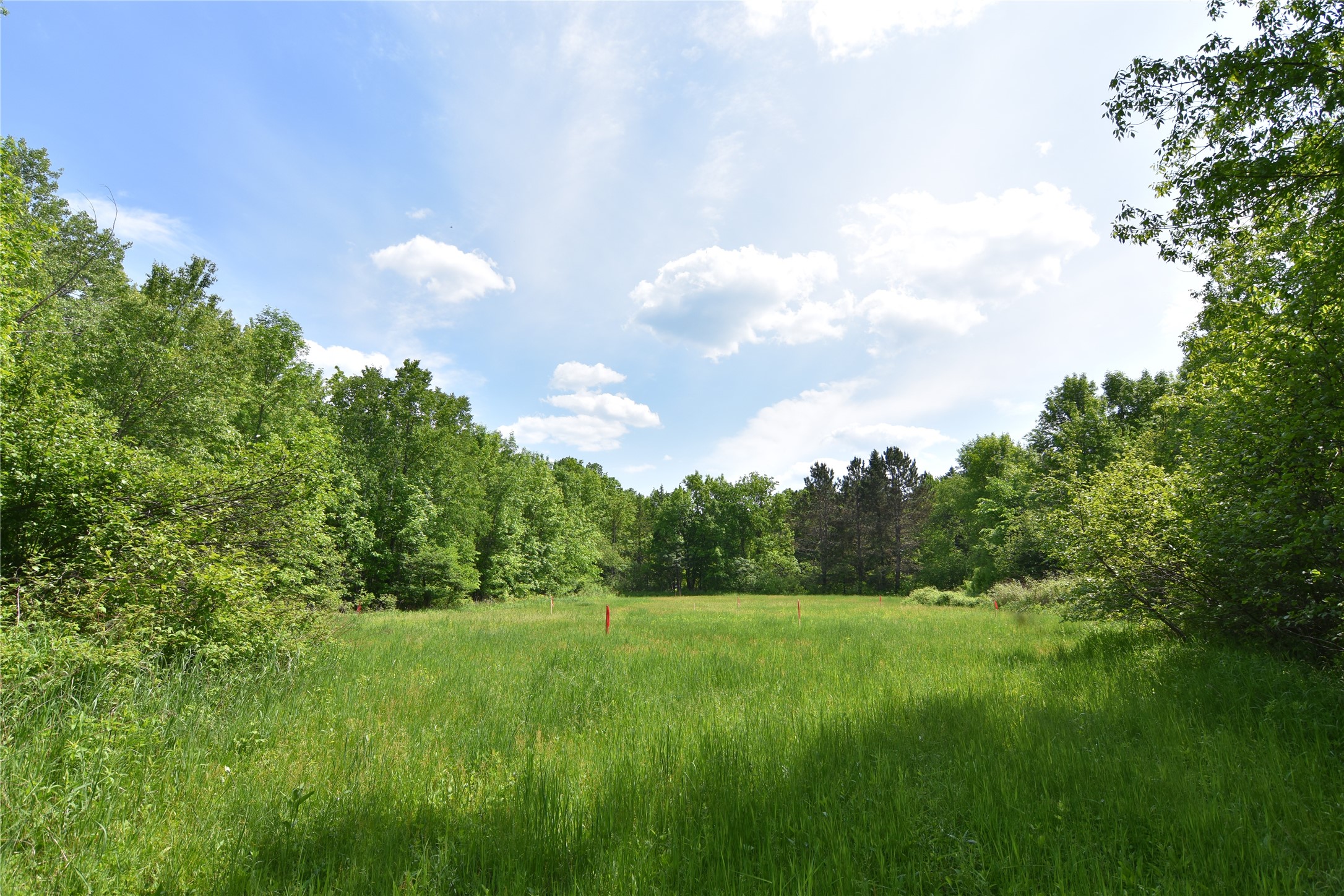 N399 Riverside Drive Holcombe, WI 54745 - Photo 15 of 20