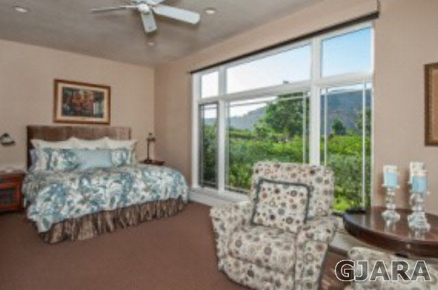 3901 G Road Palisade, CO 81526 - Photo 22 of 33
