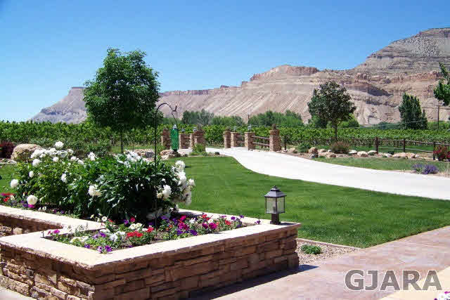 3901 G Road Palisade, CO 81526 - Photo 3 of 33