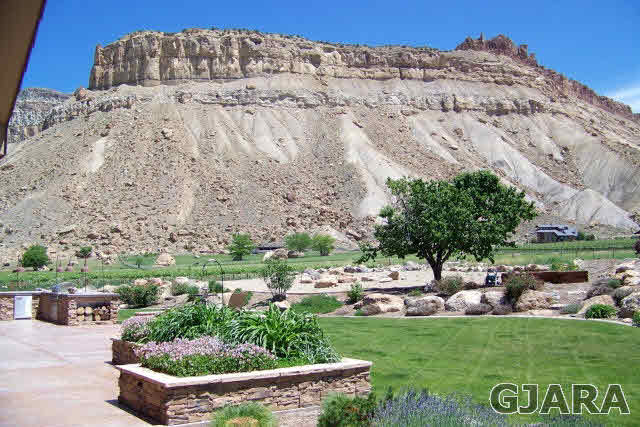 3901 G Road Palisade, CO 81526 - Photo 7 of 33
