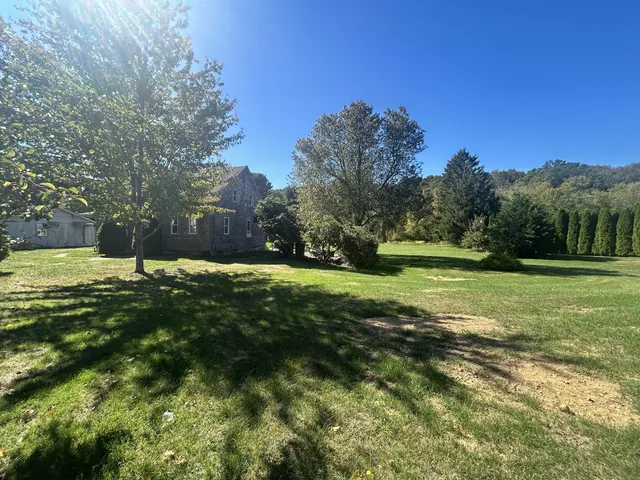 a view of a park with large trees