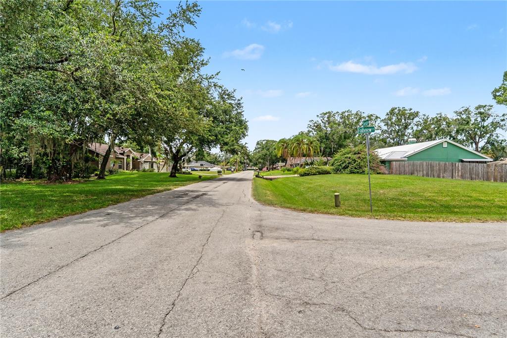 22244 Shoreside Drive Land O' Lakes, FL 34639 - Photo 5 of 8