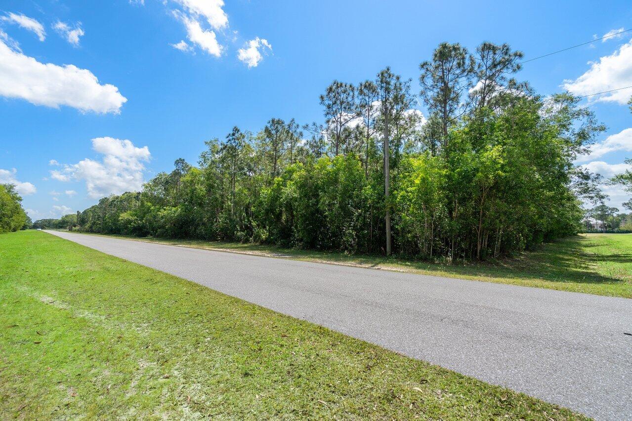 3200 Southeast Downwinds Road Jupiter, FL 33478 - Photo 14 of 28 a view of a yard with a tree