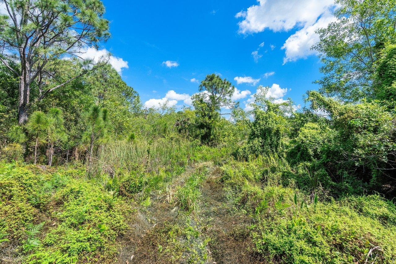 3200 Southeast Downwinds Road Jupiter, FL 33478 - Photo 17 of 28 a view of a tree in a yard