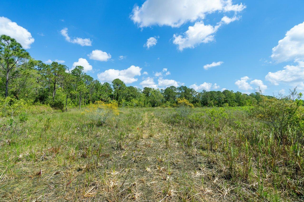 3200 Southeast Downwinds Road Jupiter, FL 33478 - Photo 18 of 28 a view of a green field