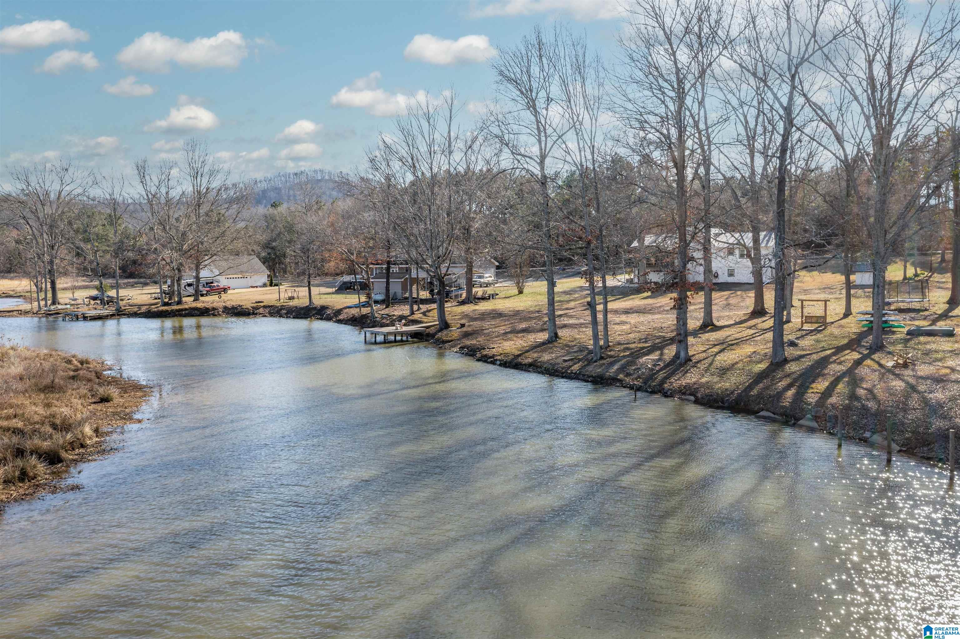 351 Canoe Creek Road Rainbow City, AL 35906 - Photo 5 of 41