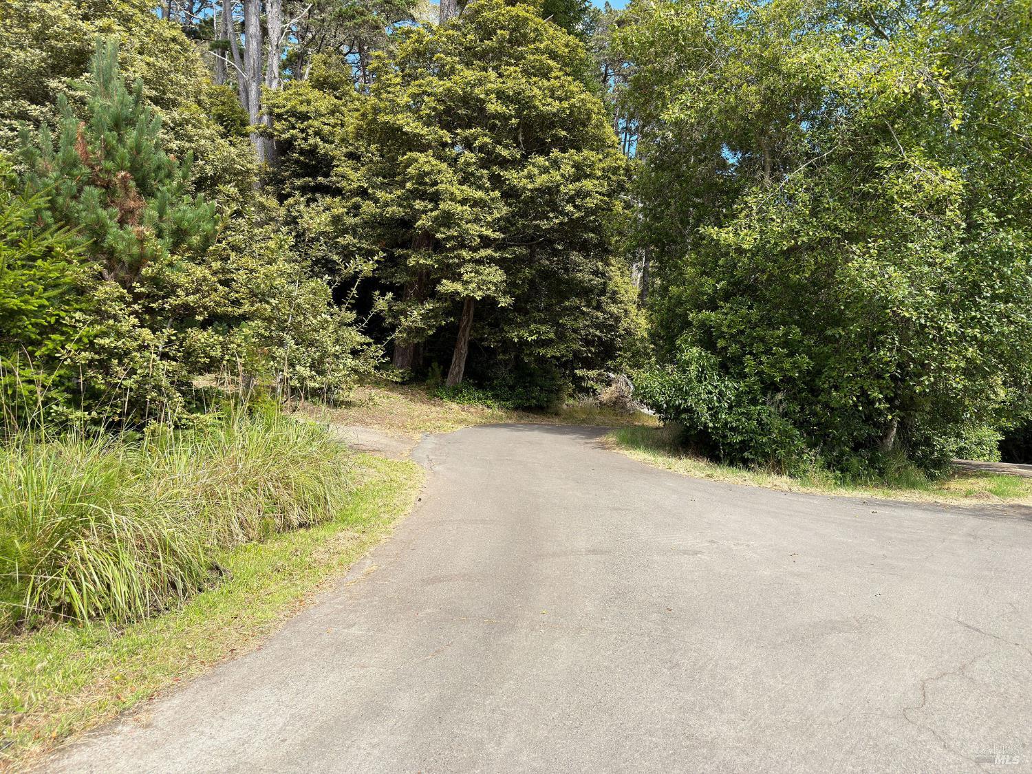 76 Compass Close The Sea Ranch, CA 95497 - Photo 16 of 29