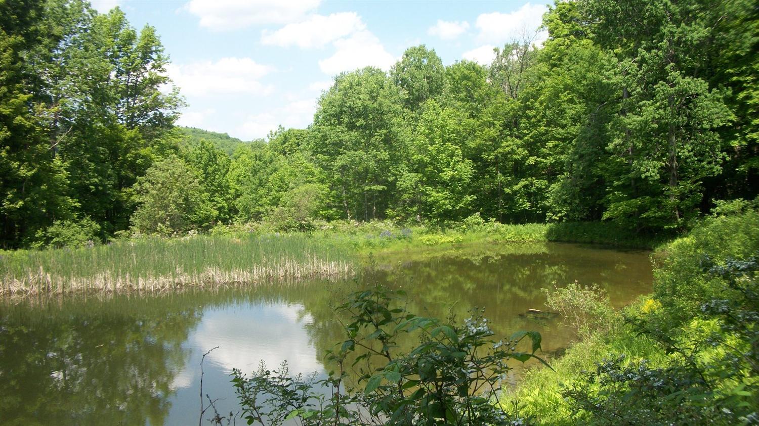 0 Stage Road South Otselic, NY 13155 - Photo 1 of 1 Gallery Image 1