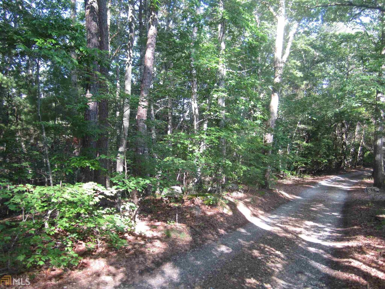 0 Dowd Road, Unit 2 13 AC Morganton, GA 30560 - Photo 1 of 1 Gallery Image 1
