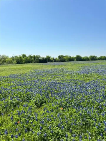 $95,000 | 308 Rd Penelope Tx 76676 Road, Penelope, TX 76676