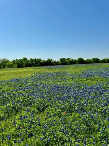 $95,000 | 308 Rd Penelope Tx 76676 Road, Penelope, TX 76676