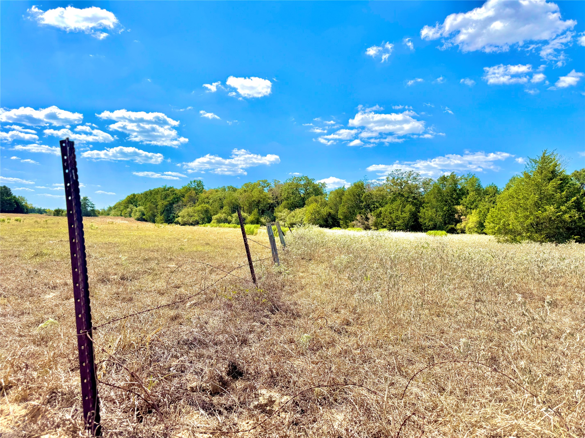 Tbd 50.62-acres Tbd 50.62-acres Rabel Road Rosanky, TX 78953 - Photo 6 of 23 barbed wire fence around perimeter