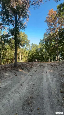 $29,500 | 16154 North Hickory Lane, Woodlawn, IL 62898