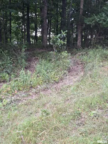 $29,500 | 16154 North Hickory Lane, Woodlawn, IL 62898