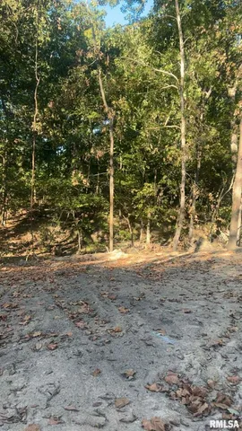 $29,500 | 16154 North Hickory Lane, Woodlawn, IL 62898