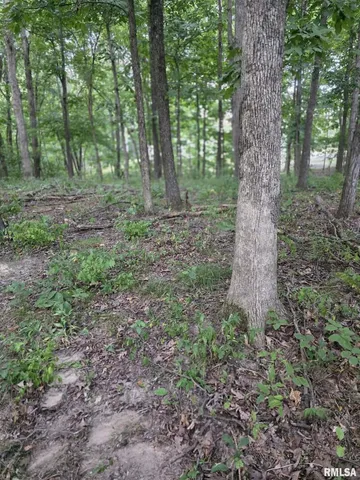 $29,500 | 16154 North Hickory Lane, Woodlawn, IL 62898