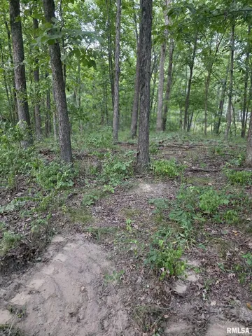 $29,500 | 16154 North Hickory Lane, Woodlawn, IL 62898