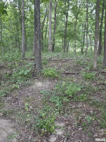 $29,500 | 16154 North Hickory Lane, Woodlawn, IL 62898