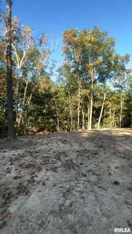 $29,500 | 16154 North Hickory Lane, Woodlawn, IL 62898