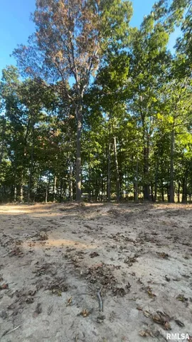 $29,500 | 16154 North Hickory Lane, Woodlawn, IL 62898