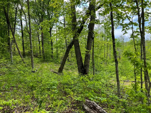 $149,900 | 3 Highway 52, Rushville, IN 46173