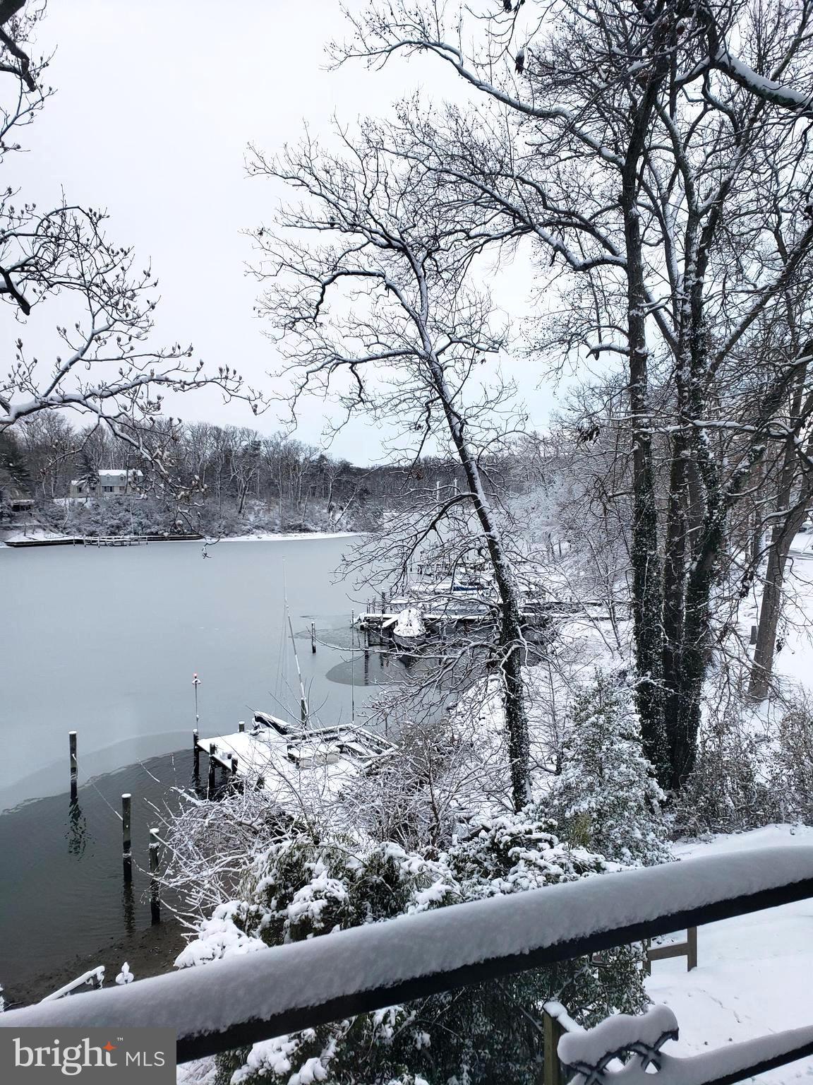 603 Delmar Road Edgewater, MD 21037 - Photo 40 of 43 More winter beauty