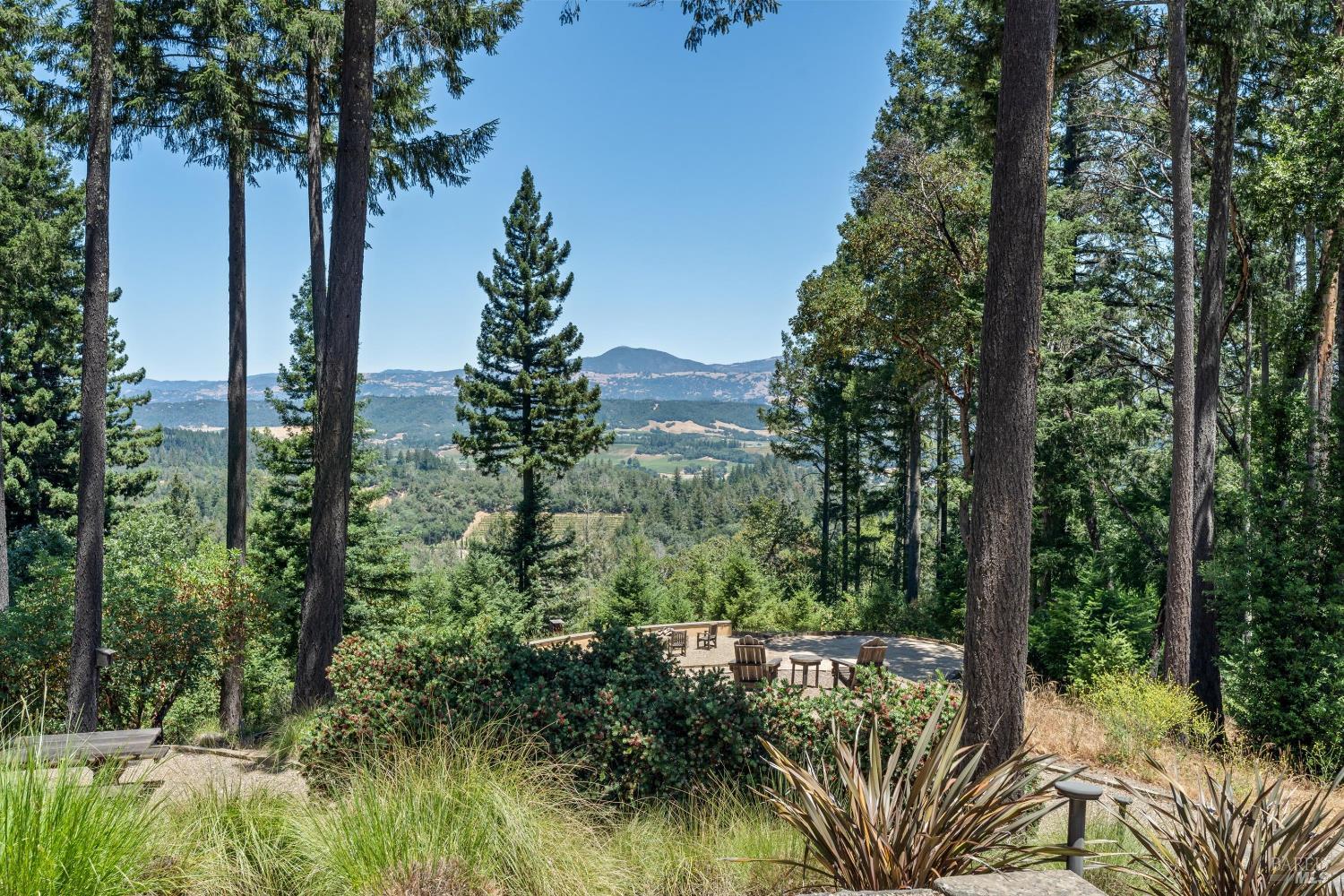 1315 West Dry Creek Road Healdsburg, CA 95448 - Photo 17 of 57 a view of a yard